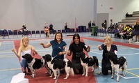 Milomiss breeders group; Nella, Martta, Jella & Wanda