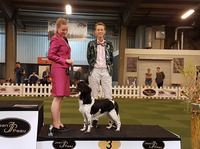 Milomiss Northern Lights Tuuletar "Lumi" JUN1 EXC CQ BOB-JUN, Group 7 Best Junior & BIS-JUN3