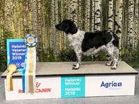 Dimka Fenske fan de Moaie Hôvingen "Nana"