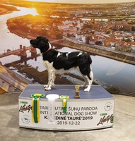 Vilna, Lithuania: Milomiss Action Hero Trinity "Jella" 3 x BOB CAC CACIB receiving title LITHUANIAN CHAMPION
